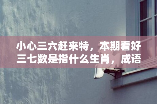 小心三六赶来特，本期看好三七数是指什么生肖，成语释义解释落实
