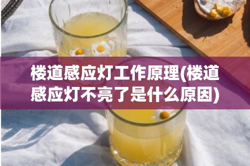 楼道感应灯工作原理(楼道感应灯不亮了是什么原因)