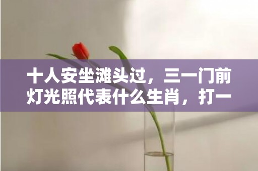 十人安坐滩头过，三一门前灯光照代表什么生肖，打一最佳准确生肖词语释义落实解释