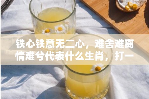 铁心铁意无二心，难舍难离情难兮代表什么生肖，打一最佳准确生肖词语释义落实解释