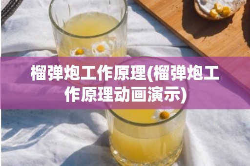 榴弹炮工作原理(榴弹炮工作原理动画演示)