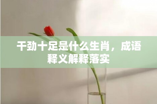 干劲十足是什么生肖，成语释义解释落实
