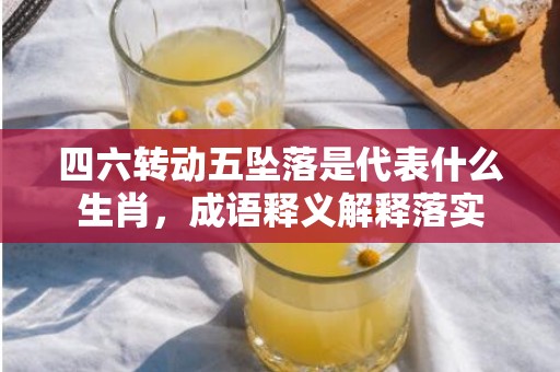 四六转动五坠落是代表什么生肖，成语释义解释落实