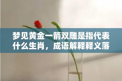 梦见黄金一箭双雕是指代表什么生肖，成语解释释义落实