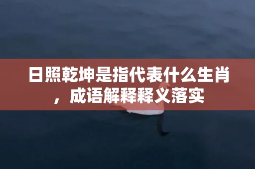 日照乾坤是指代表什么生肖，成语解释释义落实