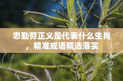 忠勤劳正义是代表什么生肖，精准成语精选落实