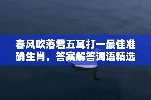 春风吹落君五耳打一最佳准确生肖，答案解答词语精选
