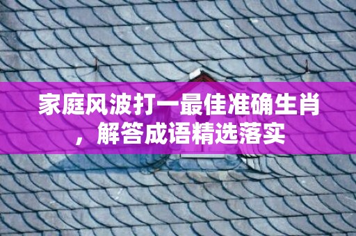 家庭风波打一最佳准确生肖，解答成语精选落实