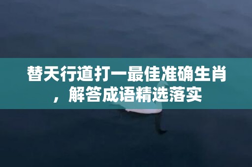 替天行道打一最佳准确生肖，解答成语精选落实插图