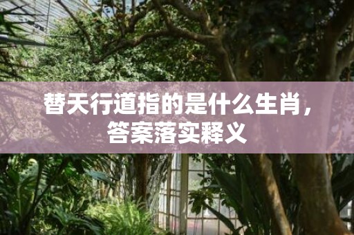替天行道指的是什么生肖，答案落实释义