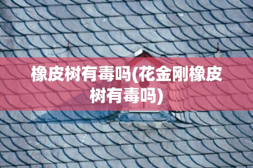 橡皮树有毒吗(花金刚橡皮树有毒吗)
