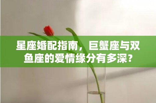星座婚配指南，巨蟹座与双鱼座的爱情缘分有多深？
