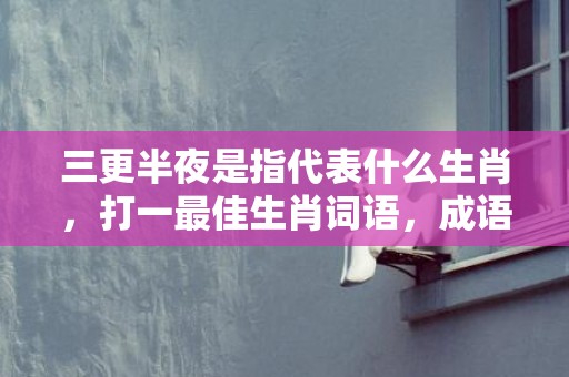 三更半夜是指代表什么生肖，打一最佳生肖词语，成语释义解释落实