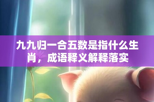 九九归一合五数是指什么生肖，成语释义解释落实