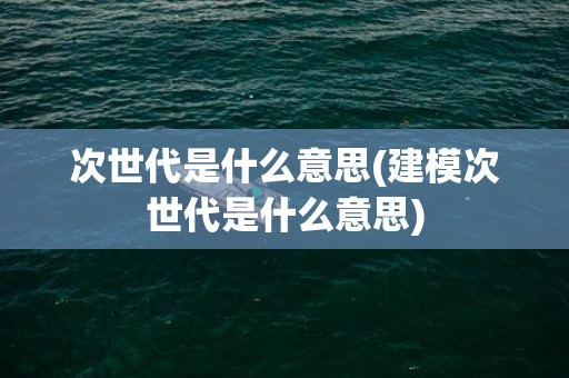 次世代是什么意思(建模次世代是什么意思)