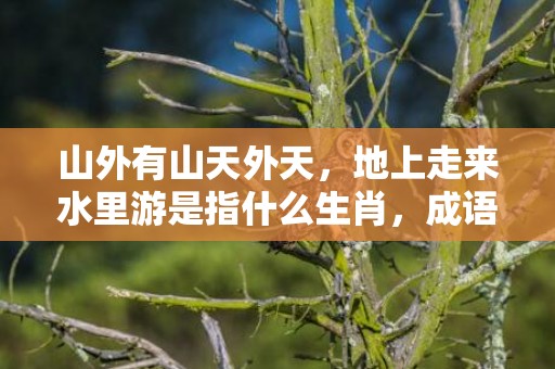 山外有山天外天，地上走来水里游是指什么生肖，成语释义解释落实插图