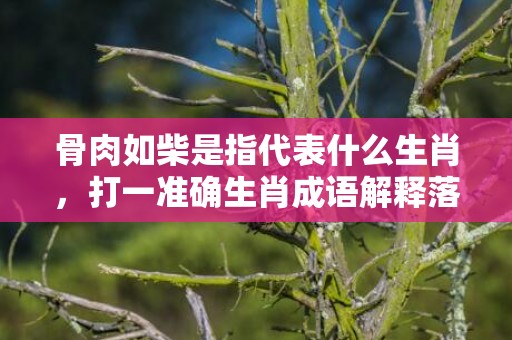 骨肉如柴是指代表什么生肖，打一准确生肖成语解释落实释义