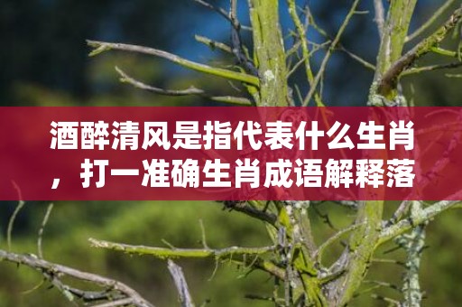 酒醉清风是指代表什么生肖，打一准确生肖成语解释落实释义