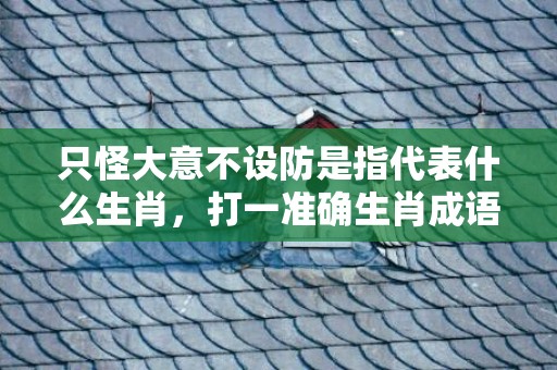 只怪大意不设防是指代表什么生肖，打一准确生肖成语解释落实释义