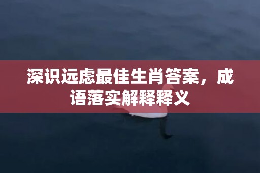 深识远虑最佳生肖答案，成语落实解释释义