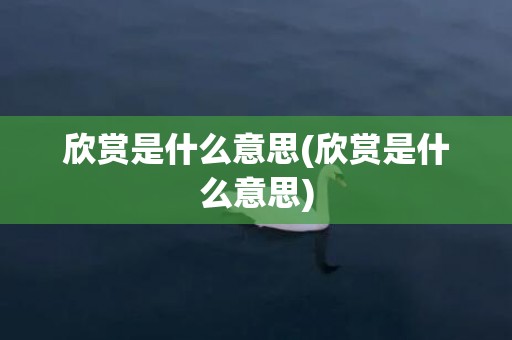 欣赏是什么意思(欣赏是什么意思)