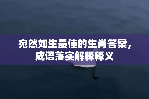 宛然如生最佳的生肖答案，成语落实解释释义