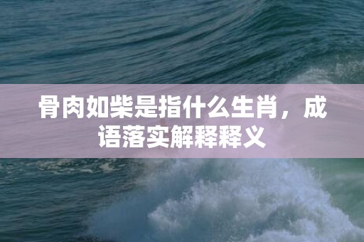 骨肉如柴是指什么生肖，成语落实解释释义
