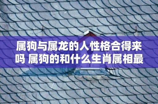 属狗与属龙的人性格合得来吗 属狗的和什么生肖属相最配