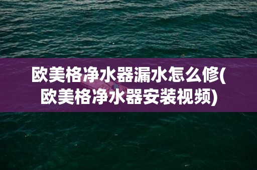 欧美格净水器漏水怎么修(欧美格净水器安装视频)