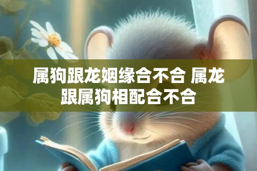 属狗跟龙姻缘合不合 属龙跟属狗相配合不合