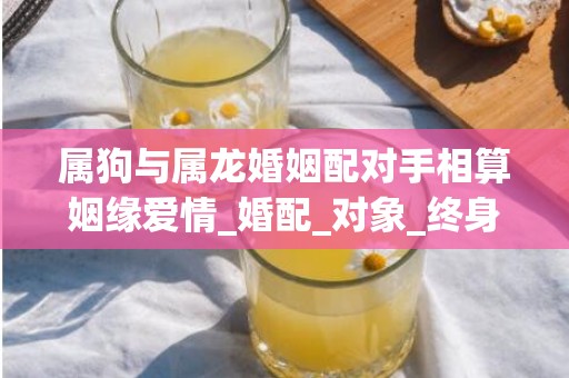 属狗与属龙婚姻配对手相算姻缘爱情_婚配_对象_终身解析
