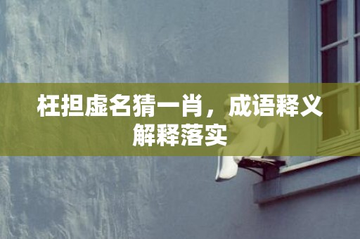 枉担虚名猜一肖，成语释义解释落实