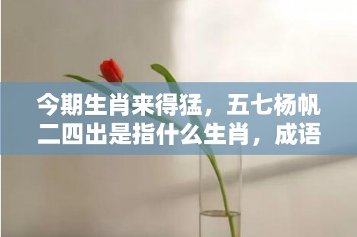 今期生肖来得猛，五七杨帆二四出是指什么生肖，成语落实解释释义