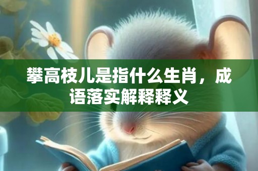 攀高枝儿是指什么生肖，成语落实解释释义