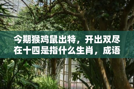今期猴鸡鼠出特，开出双尽在十四是指什么生肖，成语落实解释释义