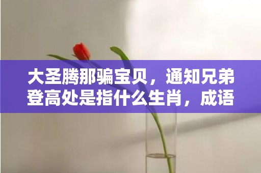 大圣腾那骗宝贝，通知兄弟登高处是指什么生肖，成语落实解释释义