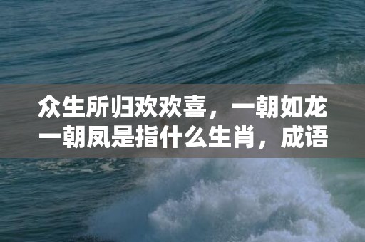 众生所归欢欢喜，一朝如龙一朝凤是指什么生肖，成语落实解释释义