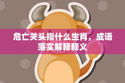 危亡关头指什么生肖，成语落实解释释义