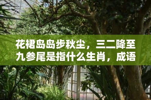 花裙岛岛步秋尘，三二降至九参尾是指什么生肖，成语落实解释释义