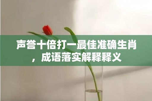 声誉十倍打一最佳准确生肖，成语落实解释释义