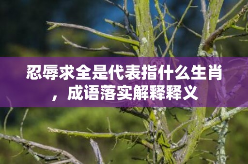 忍辱求全是代表指什么生肖，成语落实解释释义