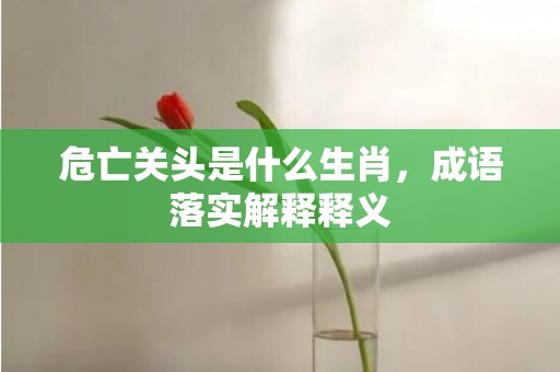 危亡关头是什么生肖，成语落实解释释义