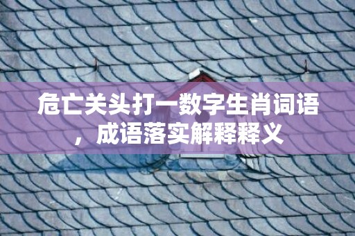 危亡关头打一数字生肖词语，成语落实解释释义
