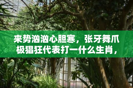 来势汹汹心胆寒，张牙舞爪极猖狂代表打一什么生肖，成语落实解释释义插图