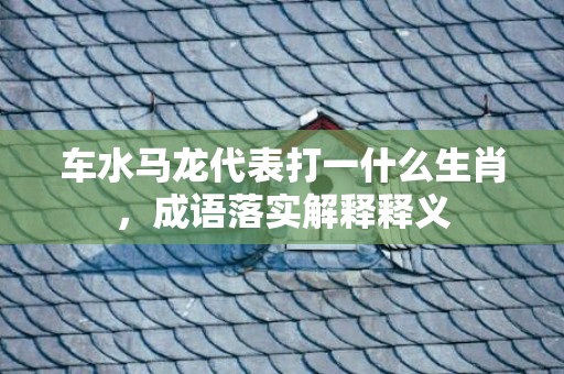车水马龙代表打一什么生肖，成语落实解释释义