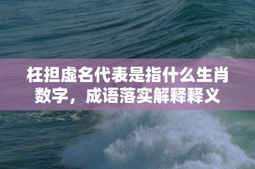 枉担虚名代表是指什么生肖数字，成语落实解释释义