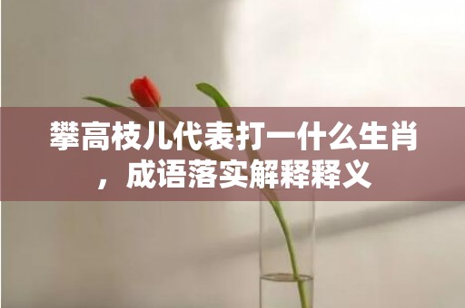 攀高枝儿代表打一什么生肖，成语落实解释释义