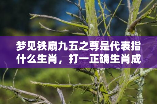 梦见铁扇九五之尊是代表指什么生肖，打一正确生肖成语落实释义