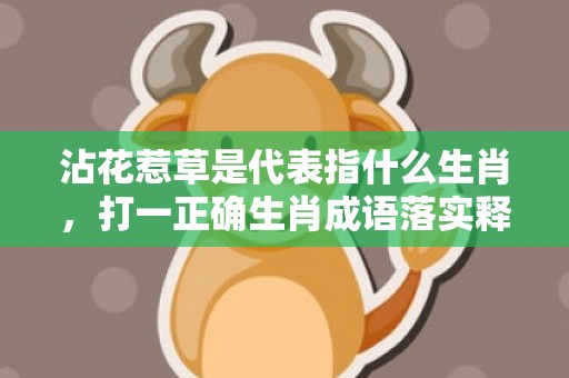 沾花惹草是代表指什么生肖，打一正确生肖成语落实释义
