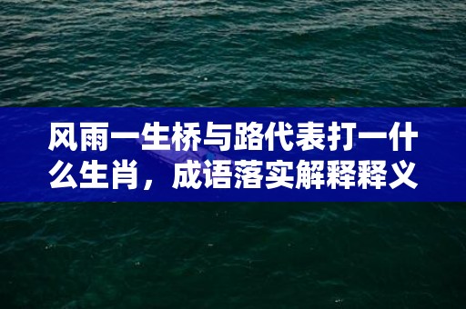 风雨一生桥与路代表打一什么生肖，成语落实解释释义